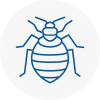 Bed Bug Extermination In East Malling
