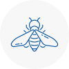 Bee Nest Removal East Malling