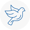 Bird Prevention East Malling