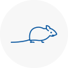 Mice Exterminators In East Malling