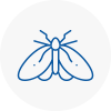 Moth Control Specialists In East Malling
