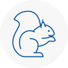 East Malling Rodent Removals